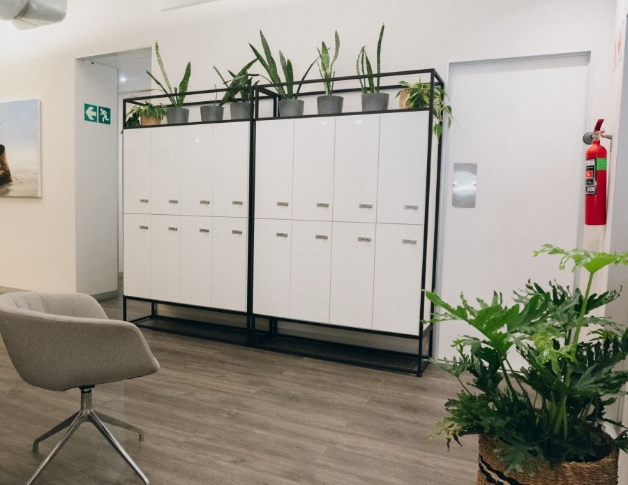 To Let commercial Property for Rent in De Waterkant Western Cape